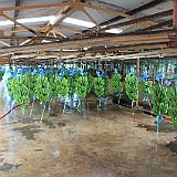 Costa Rica20150330-2147-0374